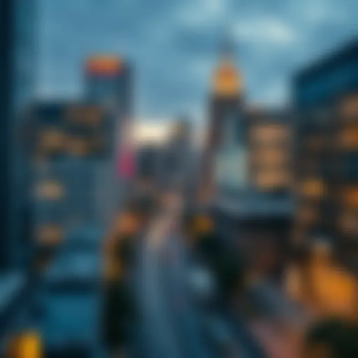 Magnificent The Concept and Implications of an Academic City Magnificent The Concept and Implications of an Academic City