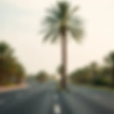 A scenic route connecting Abu Dhabi to Dubai, lined with palm trees