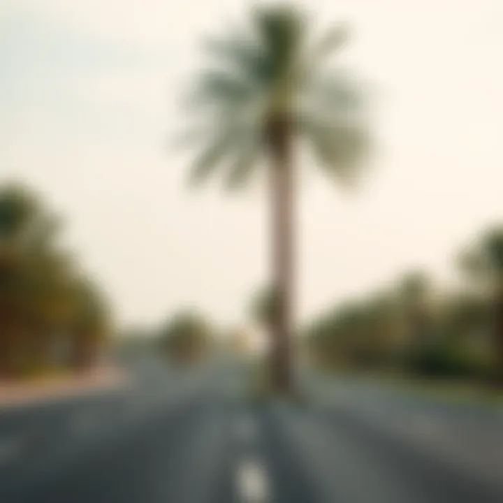 A scenic route connecting Abu Dhabi to Dubai, lined with palm trees