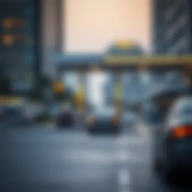 Government Policies on Fuel Pricing in the UAE Government policies on fuel pricing in the UAE