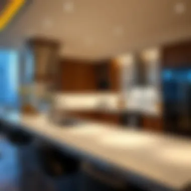 State-of-the-Art Gourmet Kitchen Gourmet kitchen in the Atlantis Penthouse equipped with state-of-the-art appliances