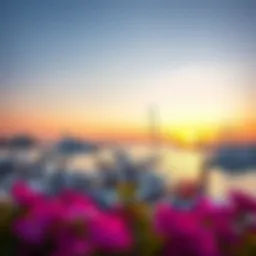 Panoramic view of Barasti Marina showcasing the luxurious yachts and vibrant beach atmosphere