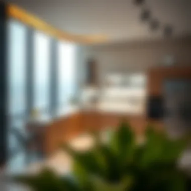 Modern kitchen design in Burj Khalifa flat