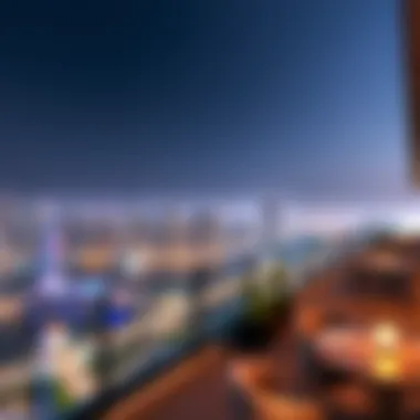 Skyline View from a Business Bay Club Stunning skyline view from a Business Bay club's terrace.