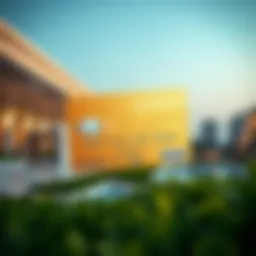 A visual representation of the E-Saad Card