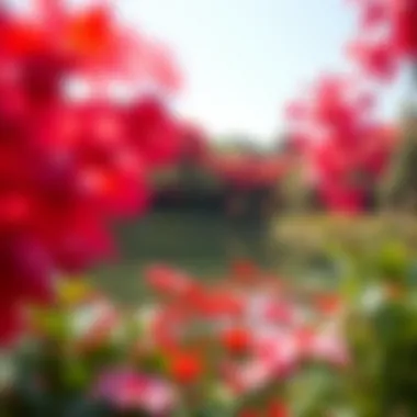 Nature's Color Palette Vibrant flora surrounding the Crystal Lake