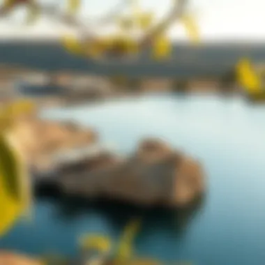 Natural Surroundings of Damac Lagoon Malta Stunning natural surroundings enhancing the beauty of Damac Lagoon Malta