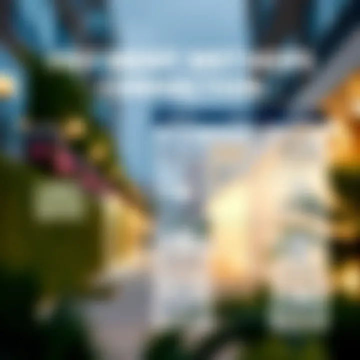 Infographic on payment methods for Dewa connections