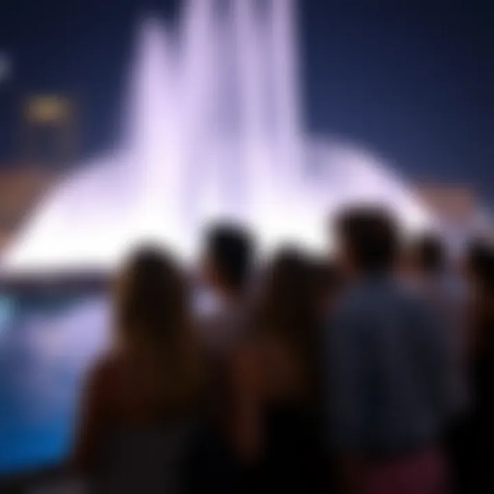 Spectators enjoying the Dubai Fountain light show