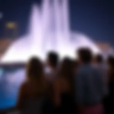 Spectators Captivated by the Light Show Spectators enjoying the Dubai Fountain light show