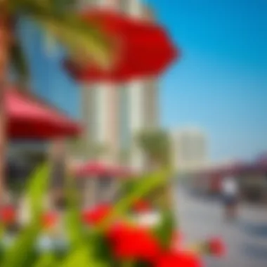 Community and Amenities in Dubai Marina Vibrant community atmosphere with amenities in Dubai Marina