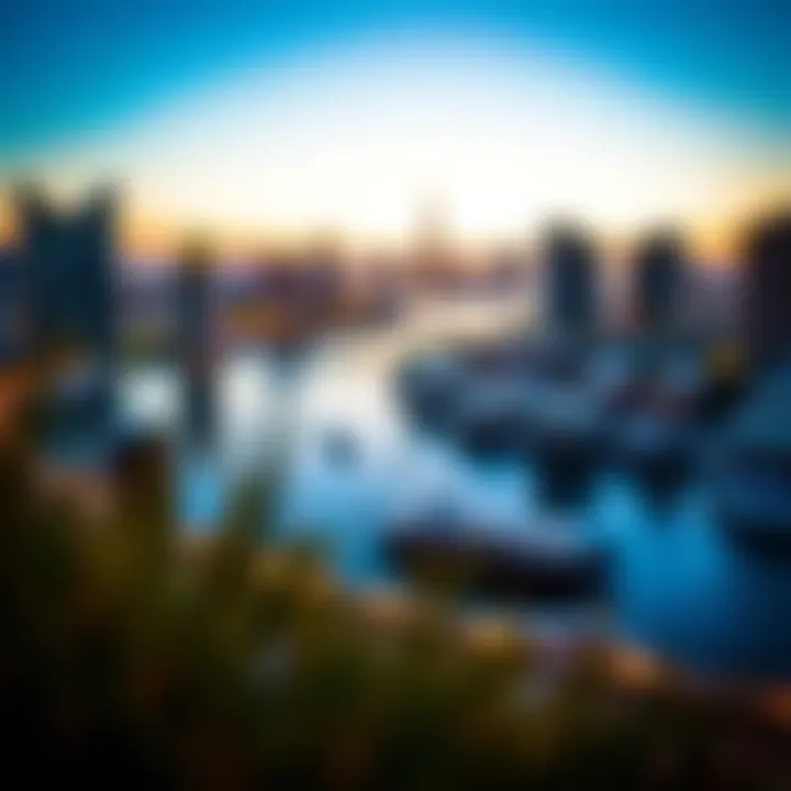 Investment Potential in Dubai's Real Estate Investment opportunities and growth potential in Dubai's real estate