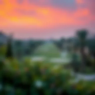 Natural Beauty of Emirates Hills Beautiful landscape of green spaces in Emirates Hills