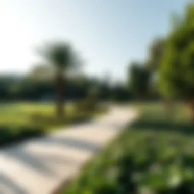 Tranquil Green Spaces in Akoya Dubai Tranquil green spaces in Akoya Dubai