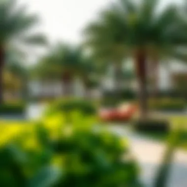 Vibrant Community Spaces in Jebel Ali Community park in Al Ahli Jebel Ali with lush greenery