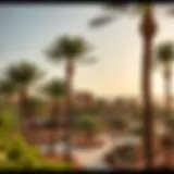 A picturesque view of Al Ain Oasis showcasing lush palm date trees and traditional falaj irrigation system