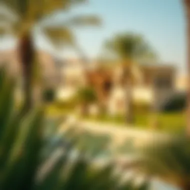 Al Ain Oasis: A Natural Gem Stunning view of Al Ain Oasis showcasing date palms