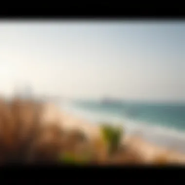Natural Surroundings of Al Hudayriat Beach Natural surroundings and wildlife near Al Hudayriat Beach