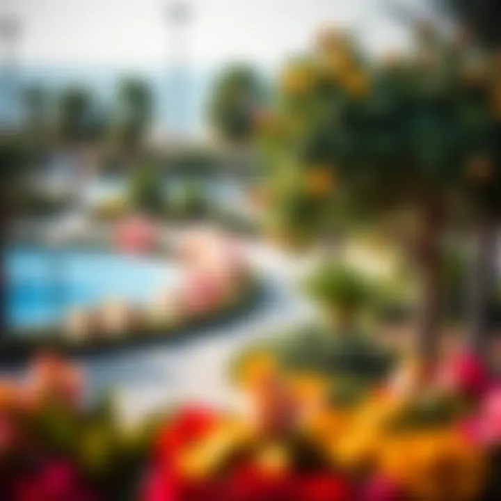 Recreational Spaces in الشعيبة العين A vibrant park in الشعيبة العين filled with greenery and recreation areas