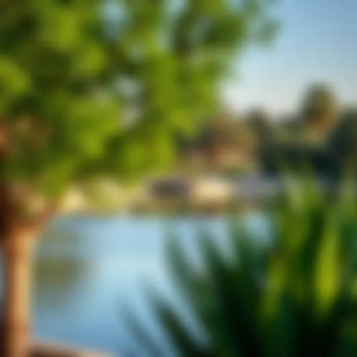 A serene view of Barsha Pond Park showcasing lush greenery and tranquil waters.