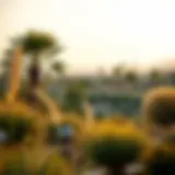 Stunning view of the Desert Park showcasing diverse vegetation