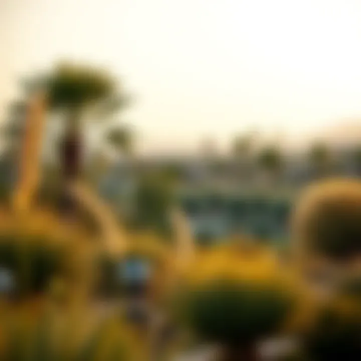 Diverse Vegetation in Desert Park Stunning view of the Desert Park showcasing diverse vegetation