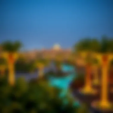 Panoramic View of Themed Zones A panoramic view of themed zones within Dubai Garden Glow