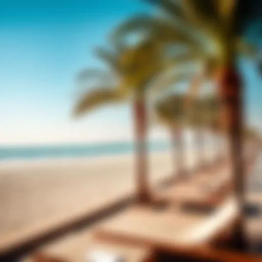 Serene view of La Mer Beach with palm trees and sun loungers