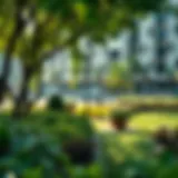 Lush greenery in Dubai's urban park