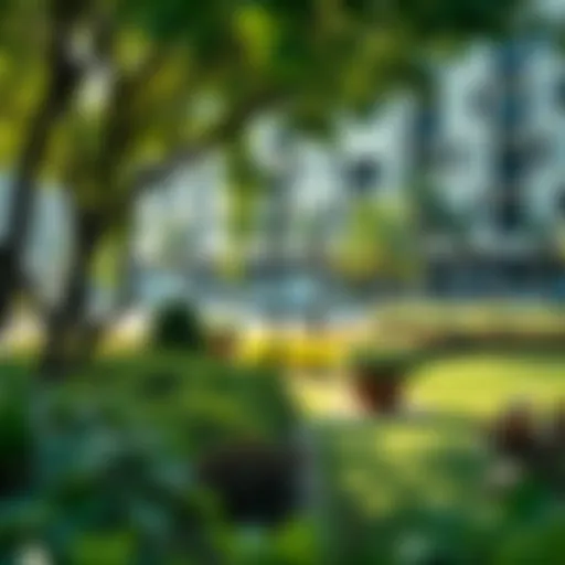 Lush greenery in Dubai's urban park