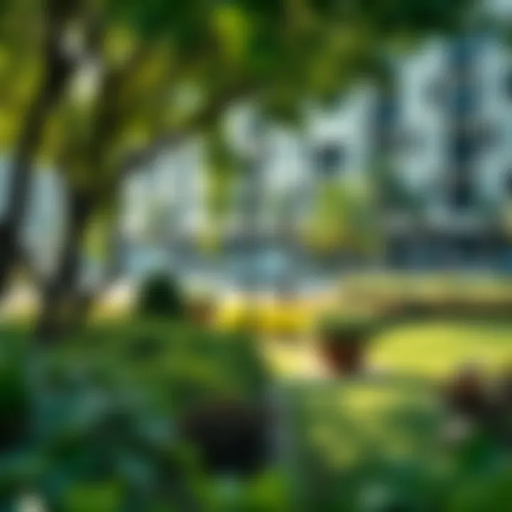 Lush greenery in Dubai's urban park