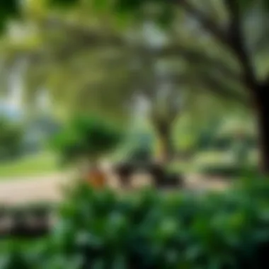 Relaxing Green Space Charming park filled with greenery and leisure activities