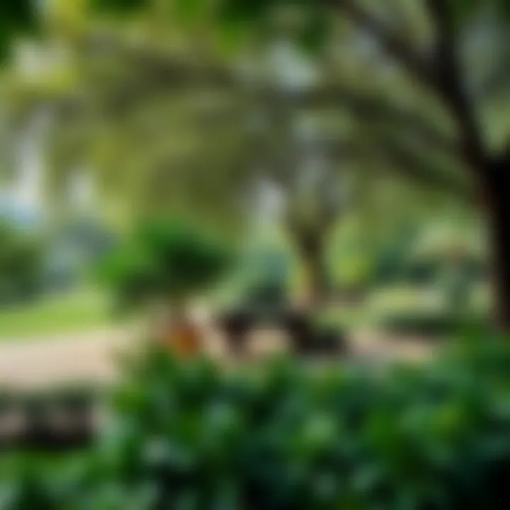 Relaxing Green Space Charming park filled with greenery and leisure activities