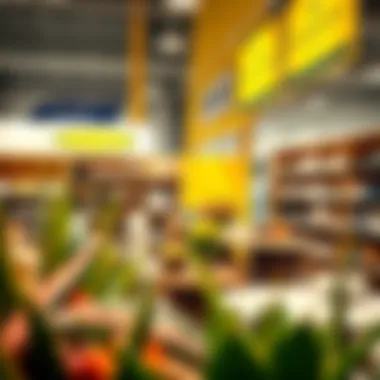 Diverse Product Offerings at IKEA Dubai Diverse product range displayed within IKEA's Dubai store