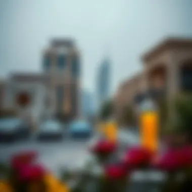 Luxurious residential area in Dubai