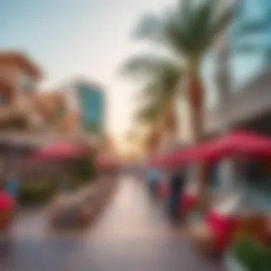 Community Amenities in Jaddaf Vibrant community amenities in Jaddaf