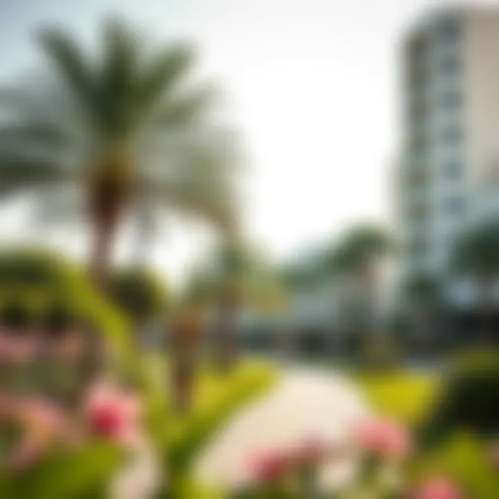 Lifestyle Offerings in Jumeirah Heights Vibrant lifestyle scene in Jumeirah Heights with parks and recreational areas