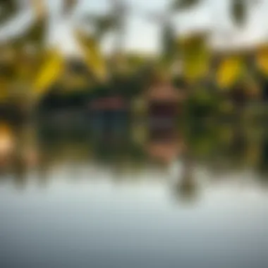 Tranquil Lake in the Heart of Mushrif Park A tranquil lake reflecting the lush surroundings of Mushrif Park
