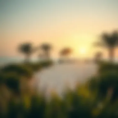 Sustainable Features of Nakheel Beach Environmental features of Nakheel Beach emphasizing sustainability