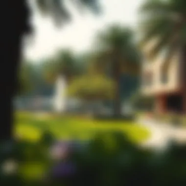 Jumeirah: Embracing Nature in Urban Life Lush greenery and parks in Jumeirah, emphasizing outdoor lifestyle