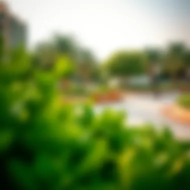Local Amenities in برايم المزهر Local amenities and parks in برايم المزهر that enhance community living.