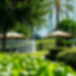 Lush greenery in an urban park setting