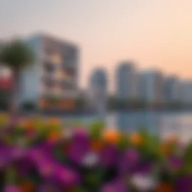 Modern architecture reflecting the vibrant lifestyle on Reem Island
