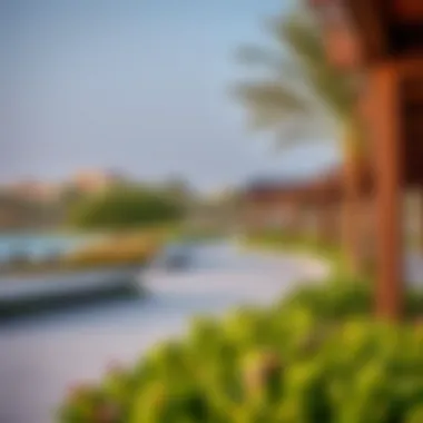 Recreational Areas on Reem Island Lush green parks and recreational areas enhancing the community experience