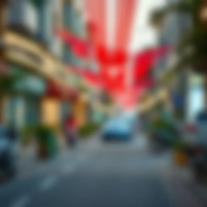 Vibrant Mirdif neighborhood street
