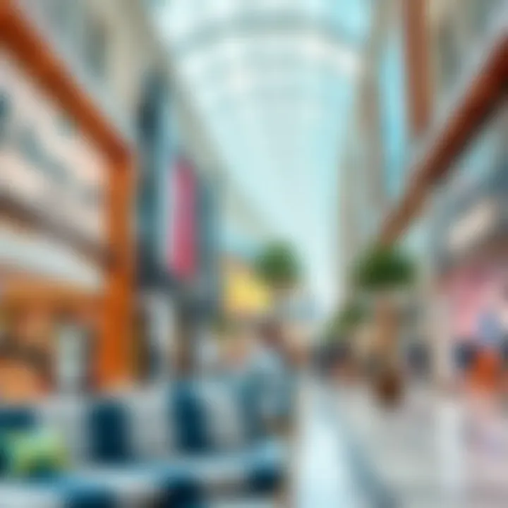 Diverse range of retail outlets in a shopping mall