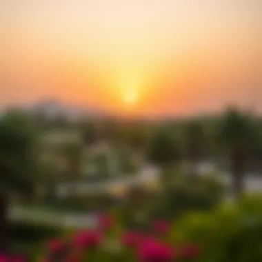 Recreational Spaces in الينابيع دبي A vibrant park in الينابيع دبي filled with lush greenery and recreational areas