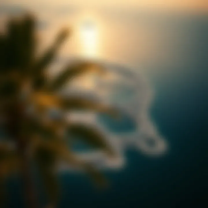 Aerial view of Palm Jumeirah showcasing its iconic palm tree shape