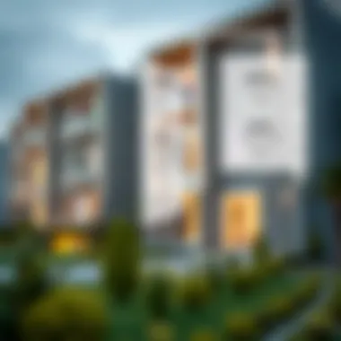 Investment Potential of One-Bedroom Properties Infographic highlighting investment potential of one-bedroom properties