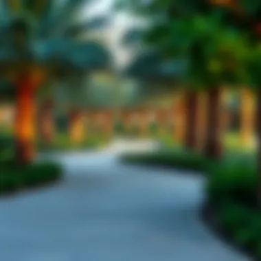 Pathway Through Sheikh Mohammed bin Rashid Gardens Pathway winding through the gardens symbolizing urban integration with nature.